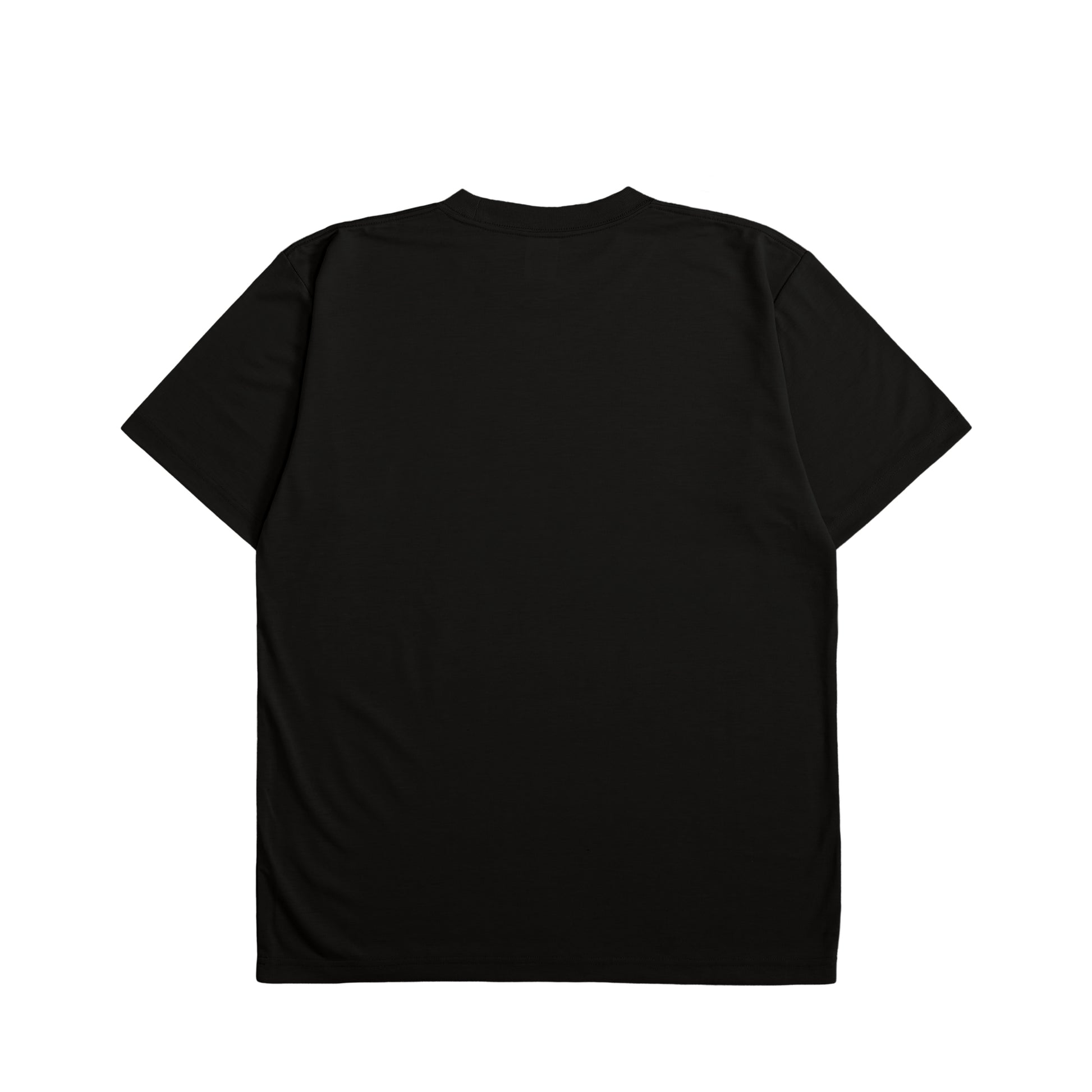 ねこT6 black image