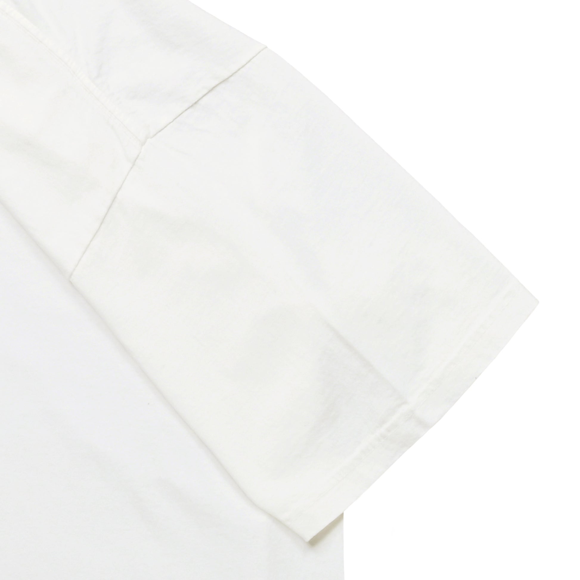 ねこT2 white image