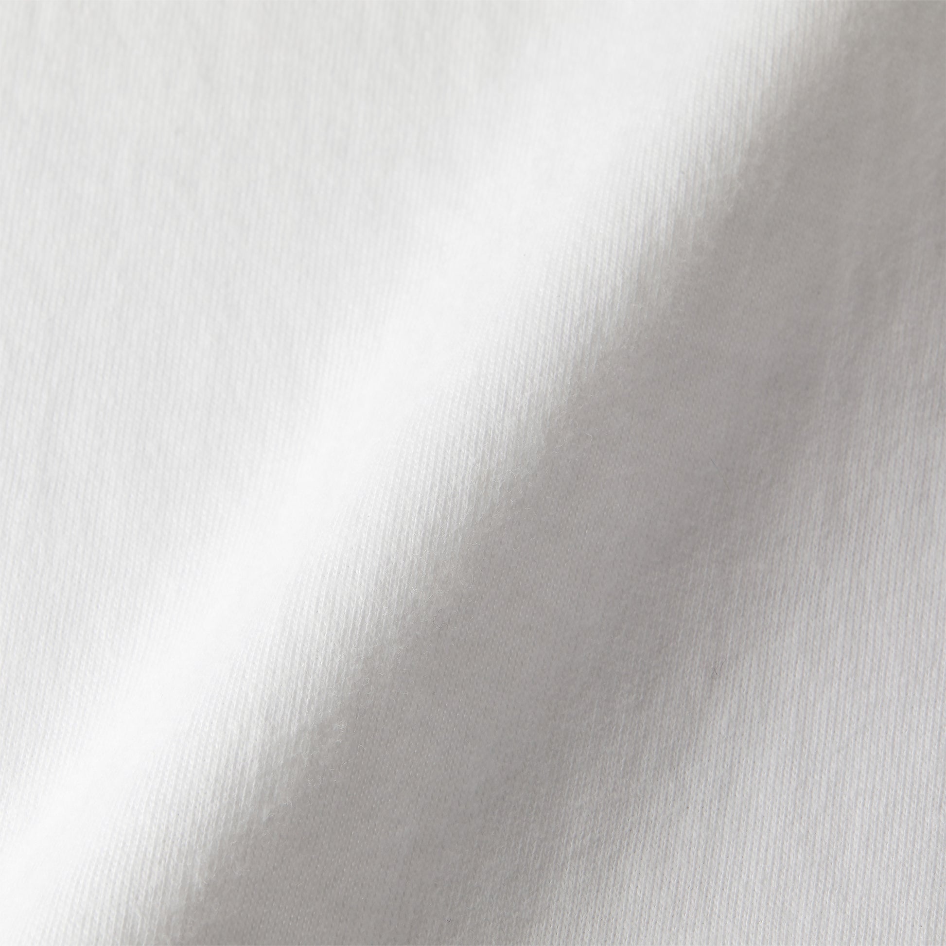 ねこT5 white image