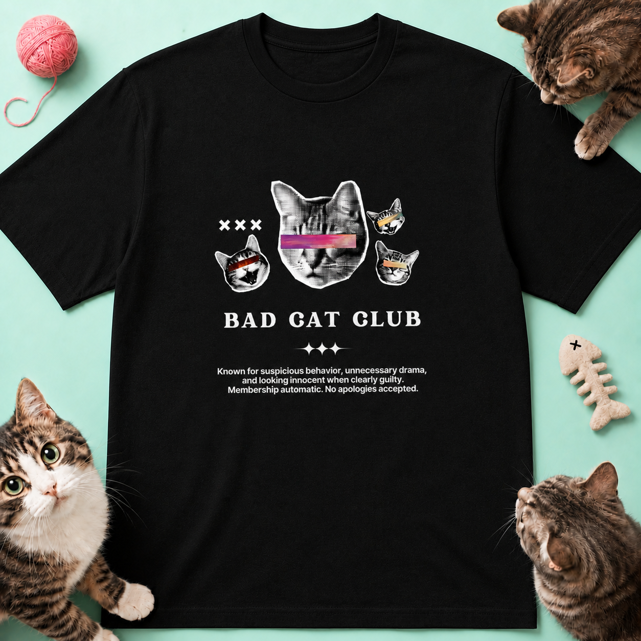 VIVICAT site-01.png