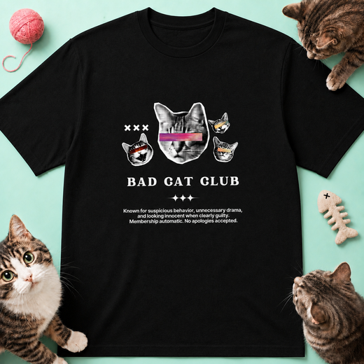 VIVICAT site-01.png