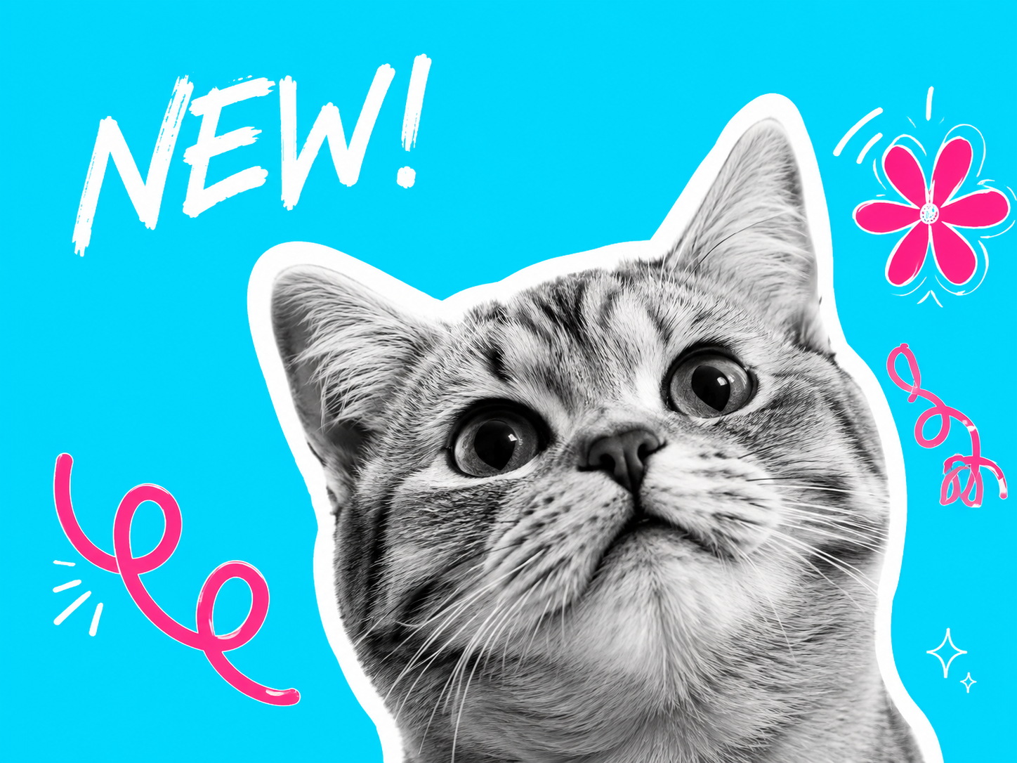 CAT LOVERS new arrivals